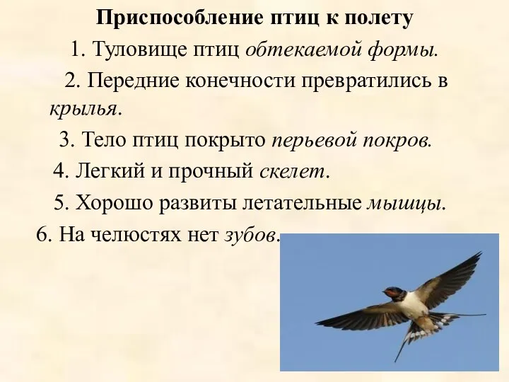 Приспособление птиц к полету 1. Туловище птиц обтекаемой формы. 2. Передние конечности