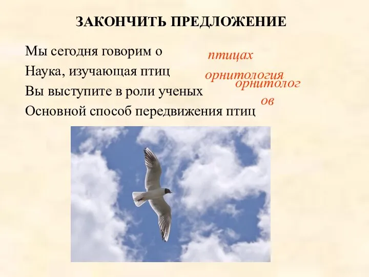 ЗАКОНЧИТЬ ПРЕДЛОЖЕНИЕ Мы сегодня говорим о Наука, изучающая птиц Вы выступите в