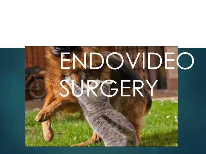 8-ИЗБЕГАЙ КОНФЛИКТА ИНСТРУМЕНТОВ ENDOVIDEOSURGERY