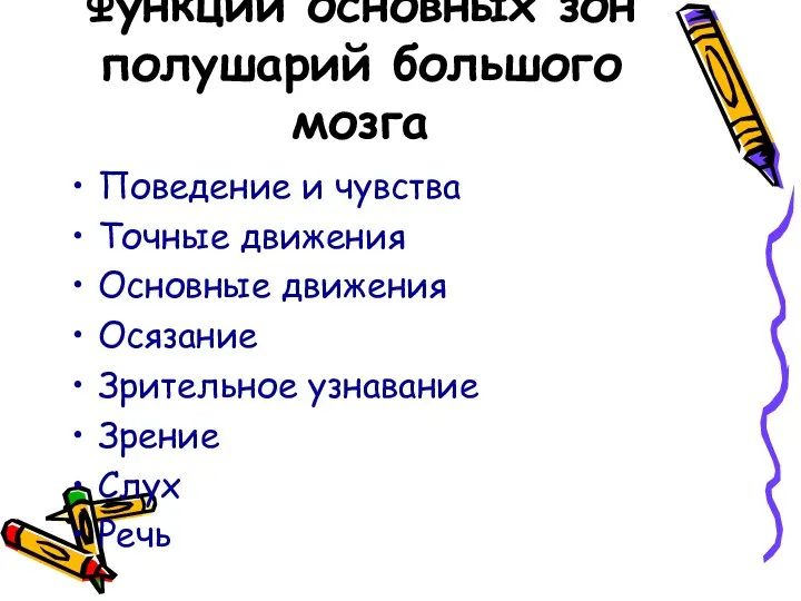 Функции основных зон полушарий большого мозга Поведение и чувства Точные движения Основные