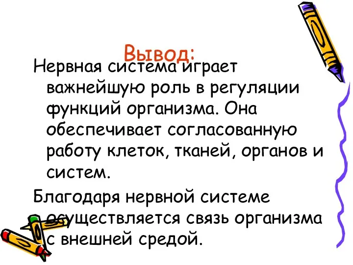 Вывод: Нервная система играет важнейшую роль в регуляции функций организма. Она обеспечивает