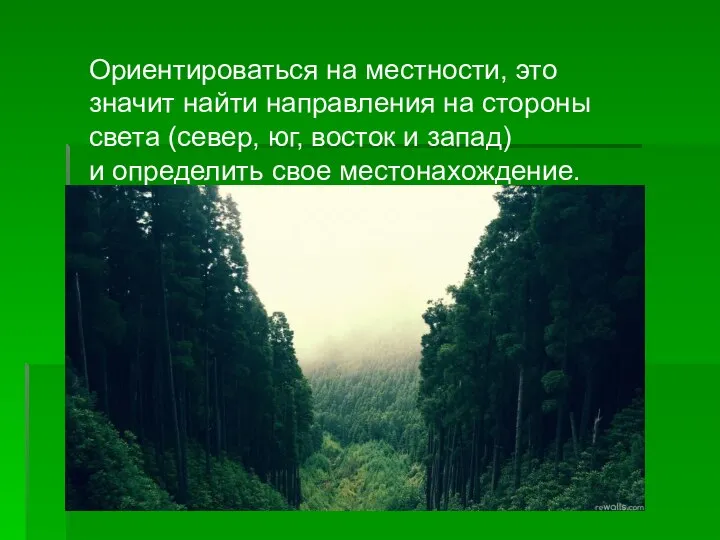 Ориентироваться на местности, это значит найти направления на стороны света (север, юг,