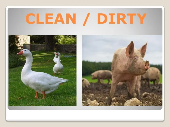 CLEAN / DIRTY