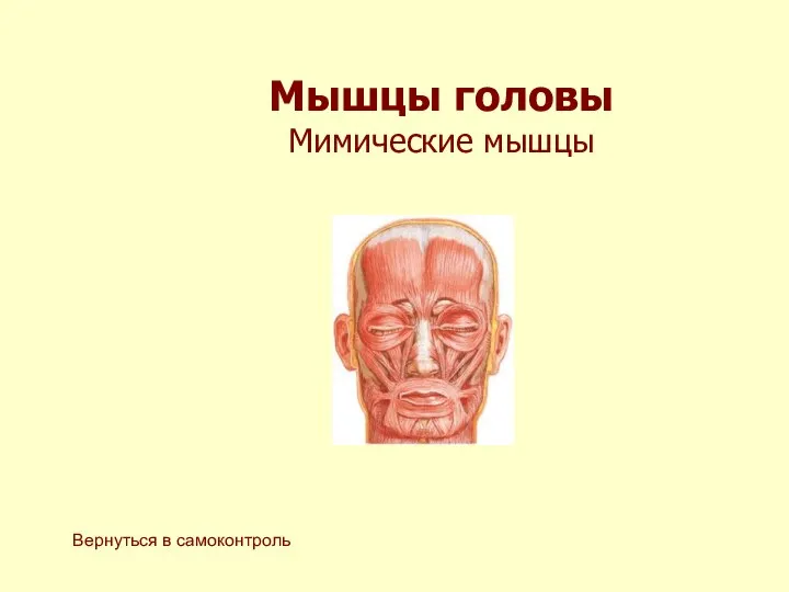 Мышцы головы Мимические мышцы Вернуться в самоконтроль