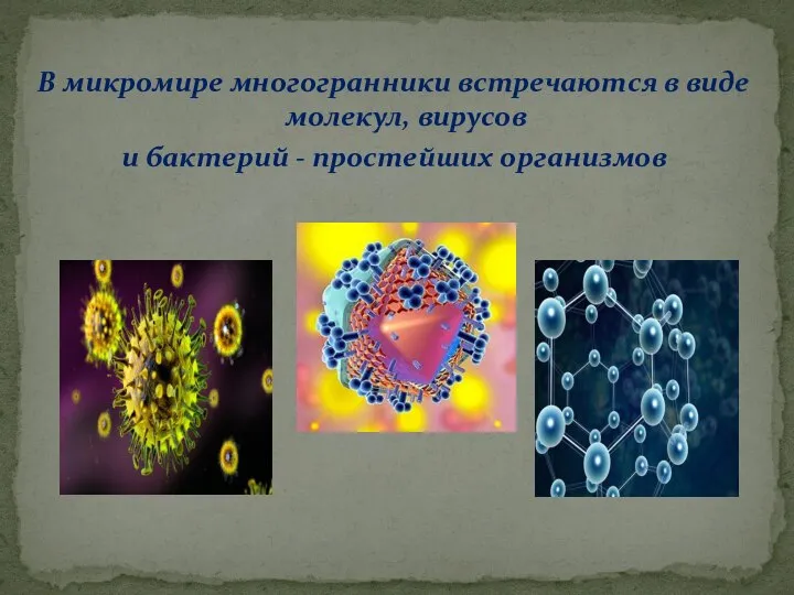 В микромире многогранники встречаются в виде молекул, вирусов и бактерий - простейших организмов