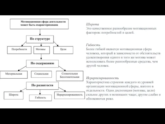 Широта Это качественное разнообразие мотивационных факторов: потребностей и целей. Гибкость Более гибкой