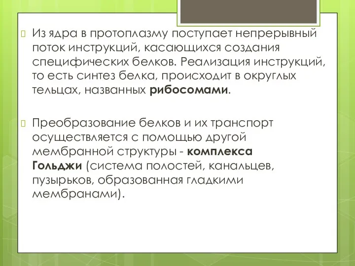 Из ядра в протоплазму поступает непрерывный поток инструкций, касающихся создания специфических белков.