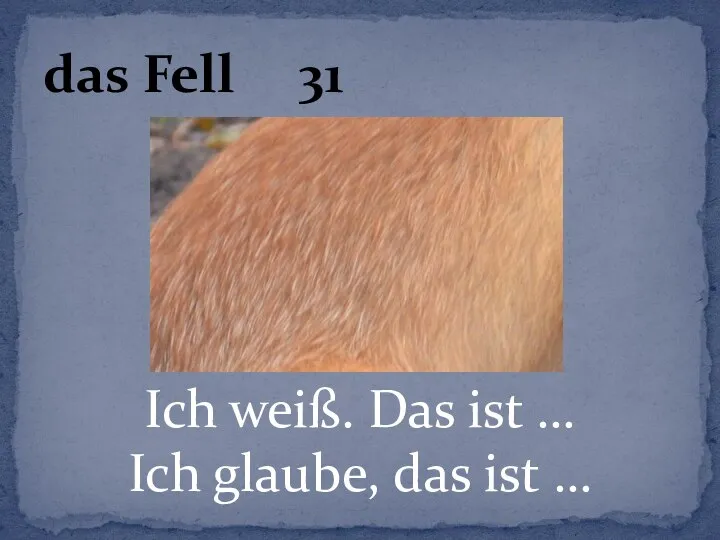 Ich weiß. Das ist … Ich glaube, das ist … das Fell 31