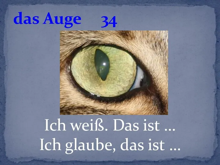 Ich weiß. Das ist … Ich glaube, das ist … das Auge 34