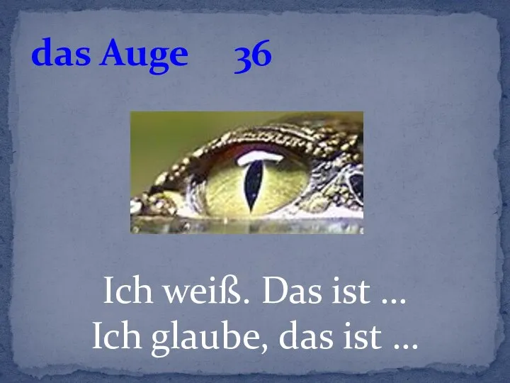 Ich weiß. Das ist … Ich glaube, das ist … das Auge 36