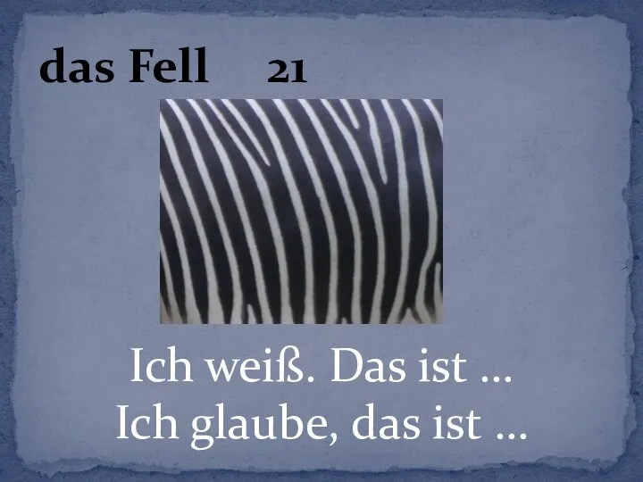 Ich weiß. Das ist … Ich glaube, das ist … das Fell 21