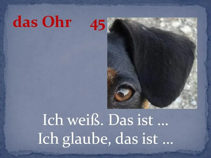 Ich weiß. Das ist … Ich glaube, das ist … das Ohr 45