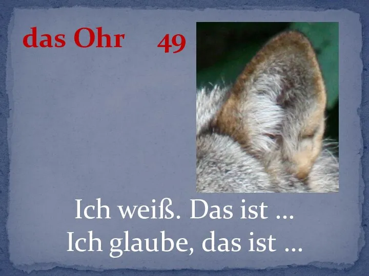 Ich weiß. Das ist … Ich glaube, das ist … das Ohr 49