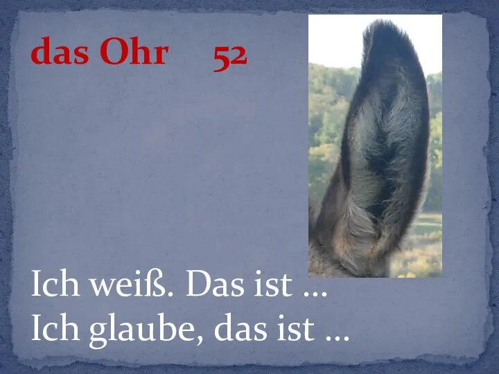 Ich weiß. Das ist … Ich glaube, das ist … das Ohr 52