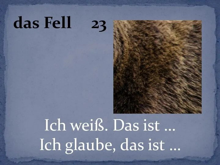 Ich weiß. Das ist … Ich glaube, das ist … das Fell 23