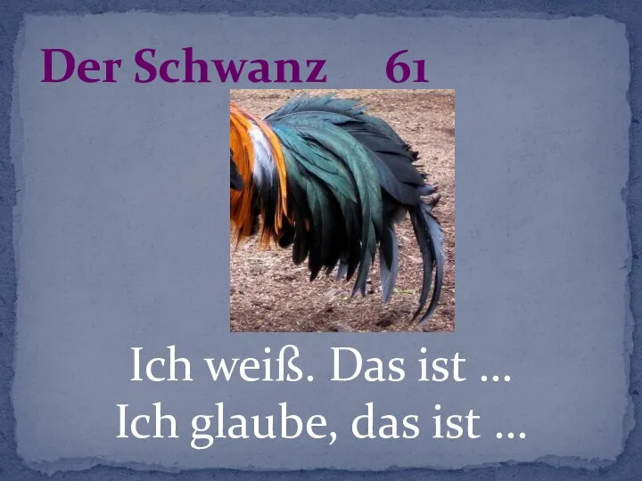 Ich weiß. Das ist … Ich glaube, das ist … Der Schwanz 61