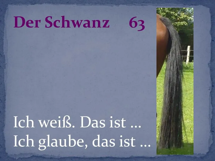 Ich weiß. Das ist … Ich glaube, das ist … Der Schwanz 63