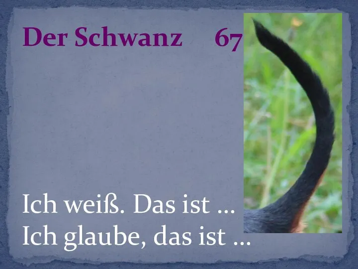 Ich weiß. Das ist … Ich glaube, das ist … Der Schwanz 67