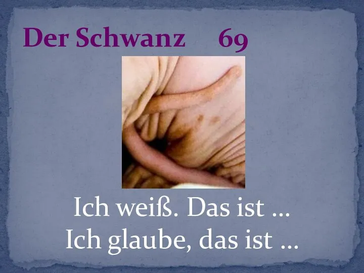 Ich weiß. Das ist … Ich glaube, das ist … Der Schwanz 69