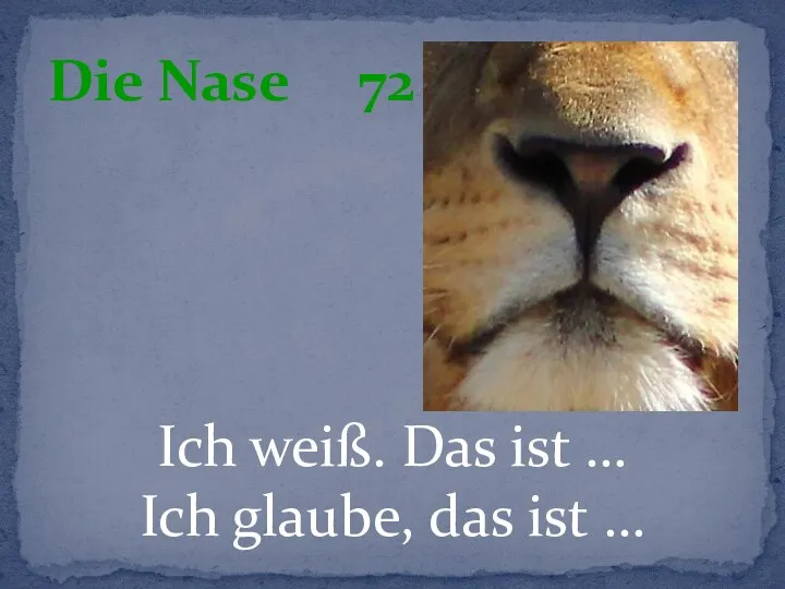 Ich weiß. Das ist … Ich glaube, das ist … Die Nase 72