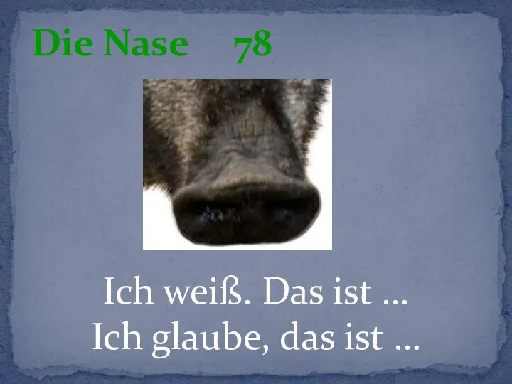 Ich weiß. Das ist … Ich glaube, das ist … Die Nase 78