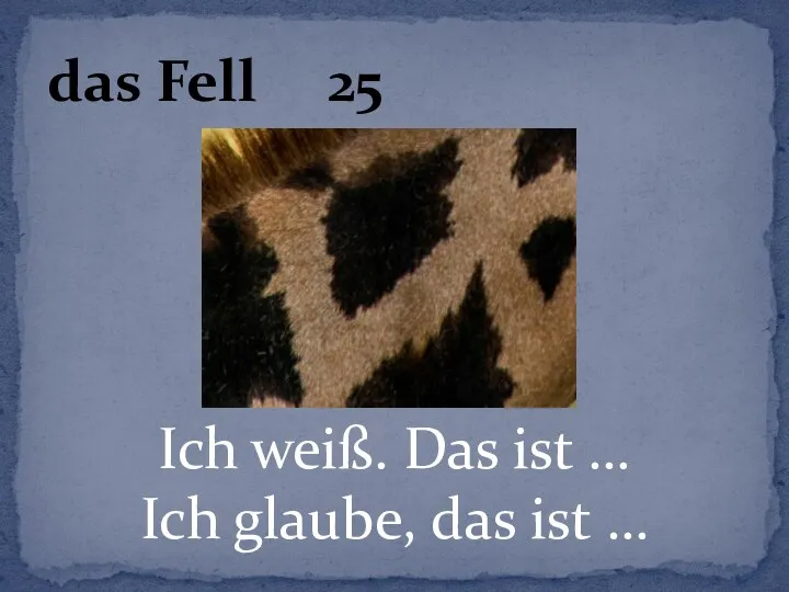 Ich weiß. Das ist … Ich glaube, das ist … das Fell 25