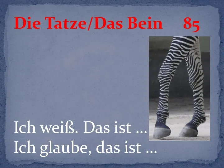 Ich weiß. Das ist … Ich glaube, das ist … Die Tatze/Das Bein 85