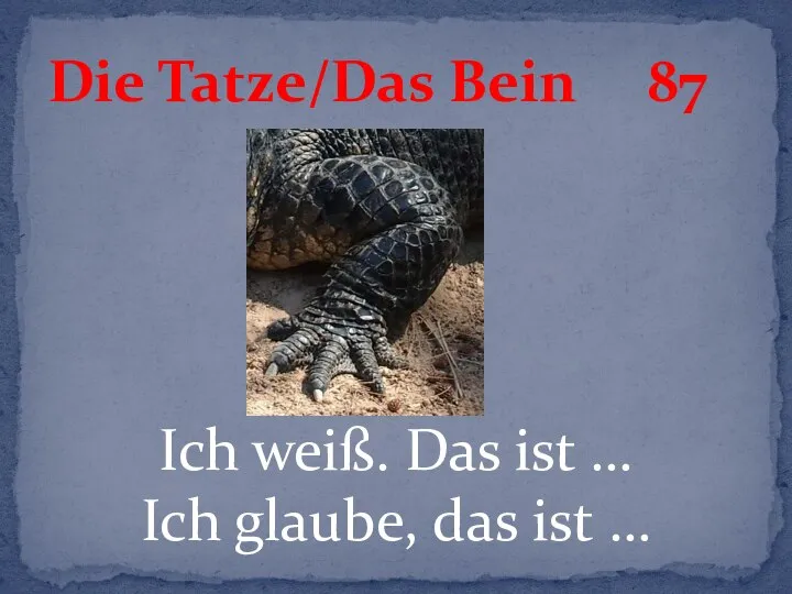 Ich weiß. Das ist … Ich glaube, das ist … Die Tatze/Das Bein 87