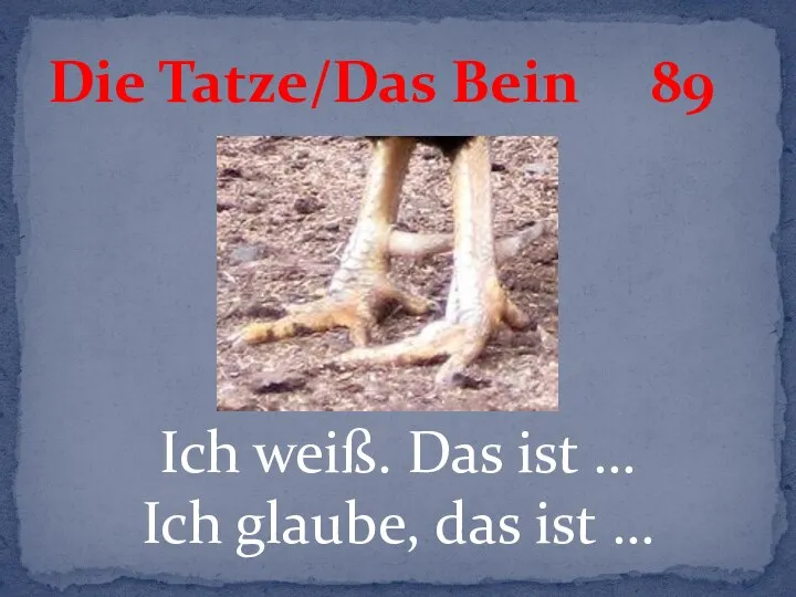 Ich weiß. Das ist … Ich glaube, das ist … Die Tatze/Das Bein 89