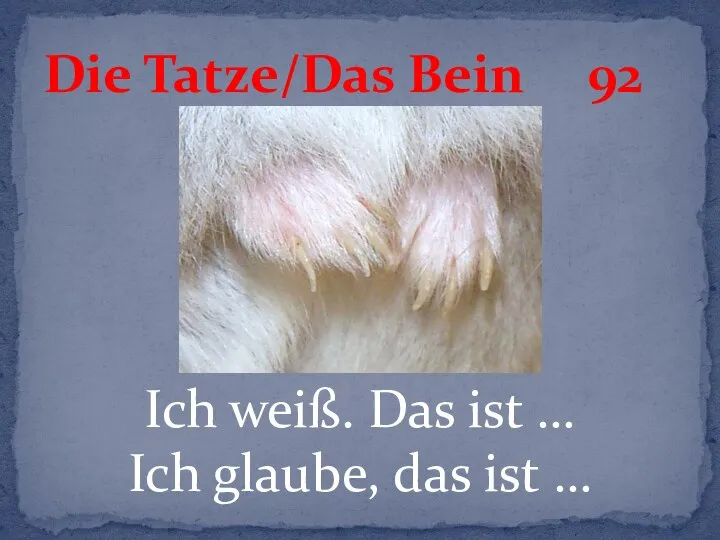 Ich weiß. Das ist … Ich glaube, das ist … Die Tatze/Das Bein 92