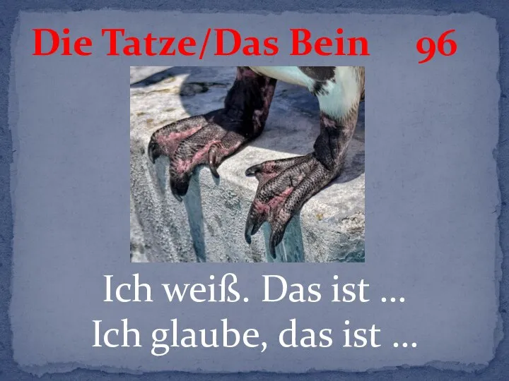 Ich weiß. Das ist … Ich glaube, das ist … Die Tatze/Das Bein 96