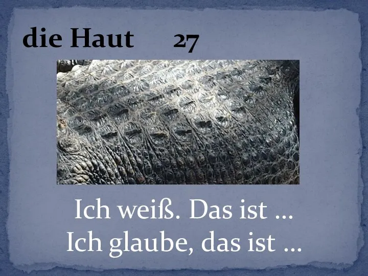 Ich weiß. Das ist … Ich glaube, das ist … die Haut 27