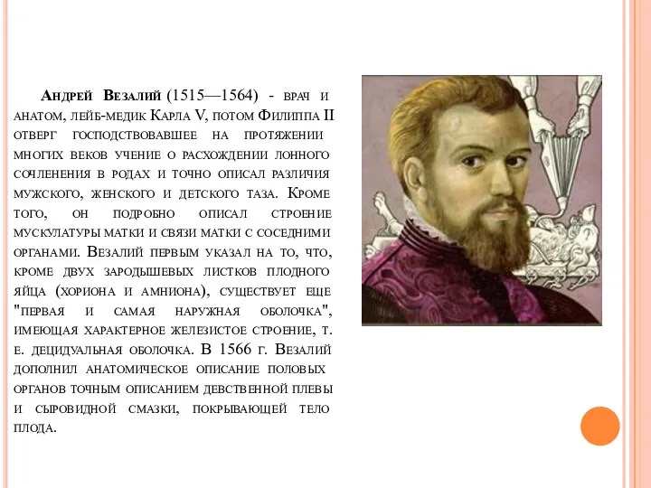 Андрей Везалий (1515—1564) - врач и анатом, лейб-медик Карла V, потом Филиппа