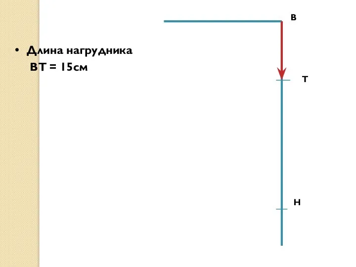 В Длина нагрудника ВТ = 15см Н Т