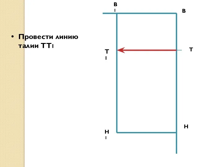 В Провести линию талии ТТ1 Н Т В1 Н1 Т1