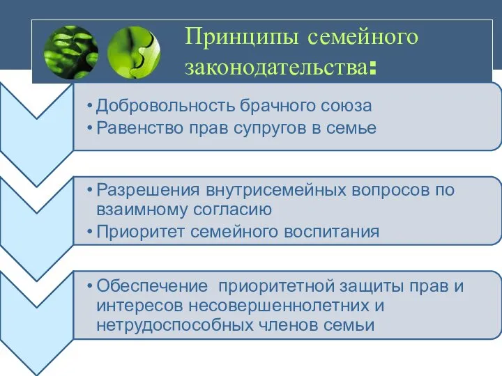 Принципы семейного законодательства: