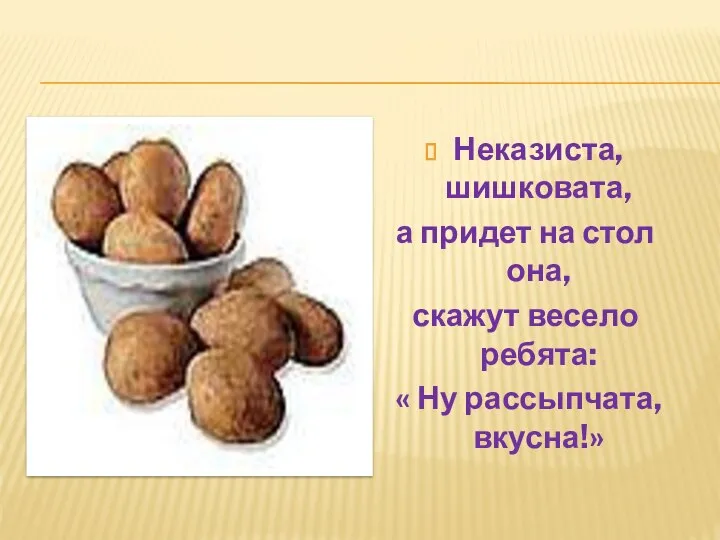 Неказиста, шишковата, а придет на стол она, скажут весело ребята: « Ну рассыпчата, вкусна!»