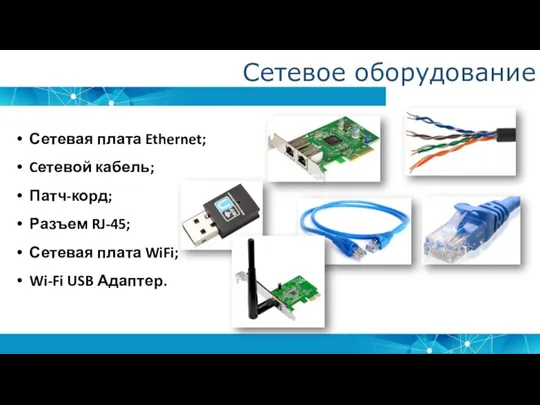 Сетевое оборудование Сетевая плата Ethernet; Cетевой кабель; Патч-корд; Разъем RJ-45; Сетевая плата WiFi; Wi-Fi USB Адаптер.