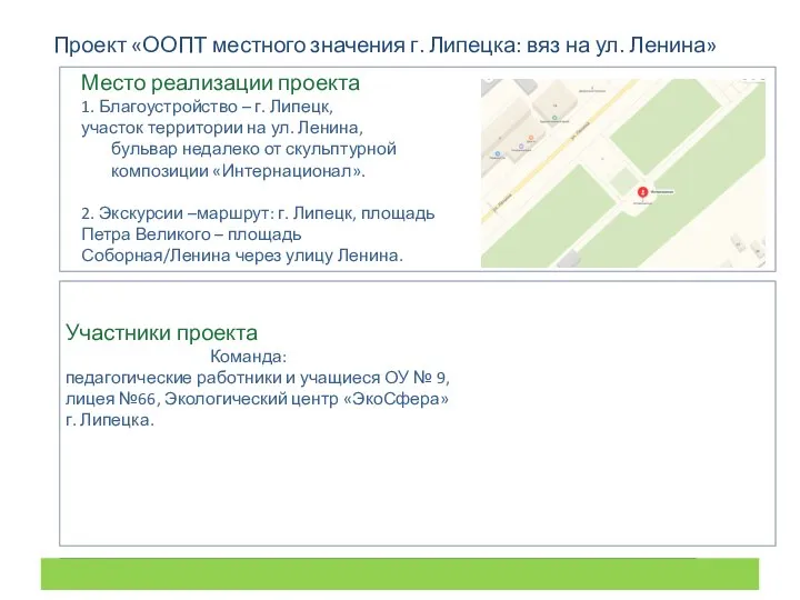 Проект «ООПТ местного значения г. Липецка: вяз на ул. Ленина» Место реализации