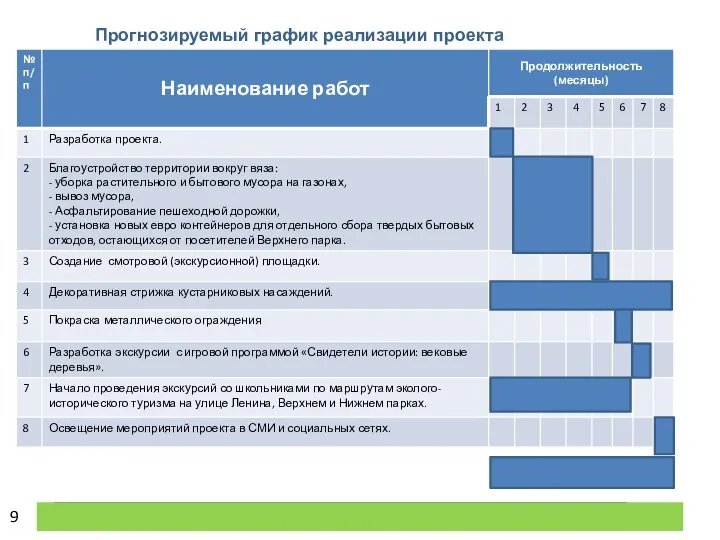 Прогнозируемый график реализации проекта