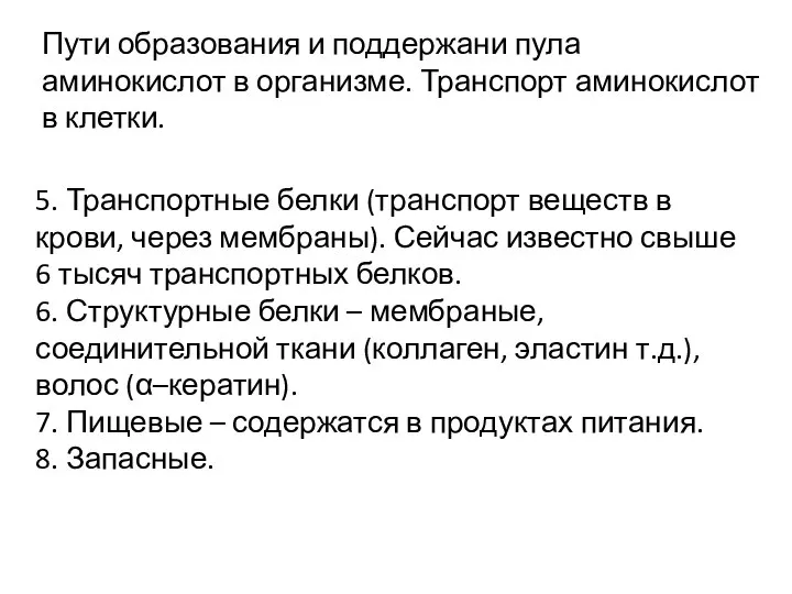 Пути образования и поддержани пула аминокислот в организме. Транспорт аминокислот в клетки.