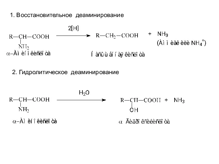 1. Восстановительное деаминирование 2. Гидролитическое деаминирование
