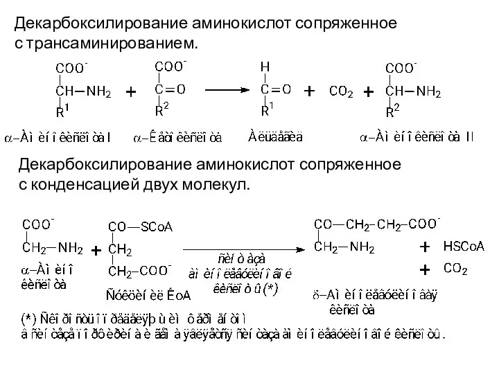 Декарбоксилирование аминокислот сопряженное с трансаминированием. Декарбоксилирование аминокислот сопряженное с конденсацией двух молекул.