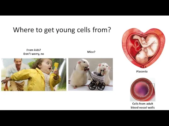 Where to get young cells from? From kids? Don’t worry, no Placenta