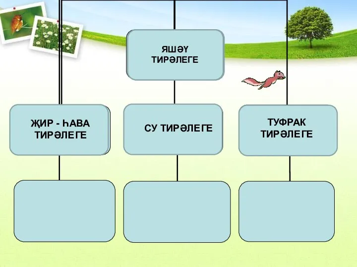 ЯШӘҮ ТИРӘЛЕГЕ ЯШӘҮ ТИРӘЛЕГЕ ЯШӘҮ ТИРӘЛЕГЕ ҖИР - ҺАВА ТИРӘЛЕГЕ СУ ТИРӘЛЕГЕ ТУФРАК ТИРӘЛЕГЕ