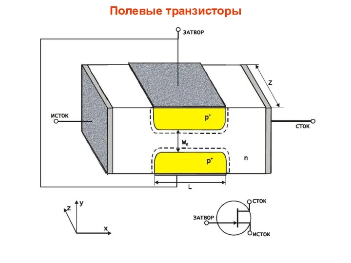 Полевые транзисторы