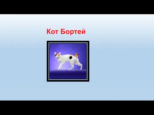 Кот Бортей