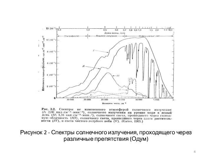 Рисунок 2 - Спектры солнечного излучения, проходящего через различные препятствия (Одум)