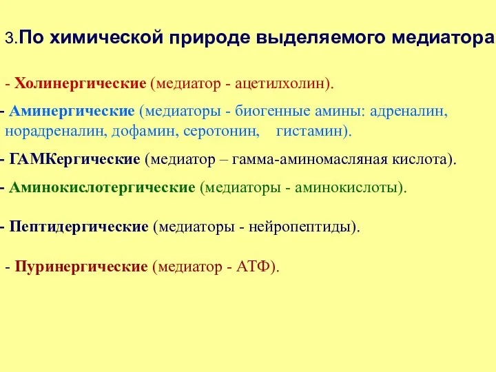 3.По химической природе выделяемого медиатора - Холинергические (медиатор - ацетилхолин). Аминергические (медиаторы