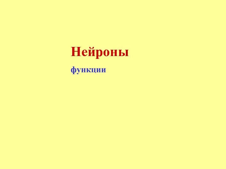 Нейроны функции